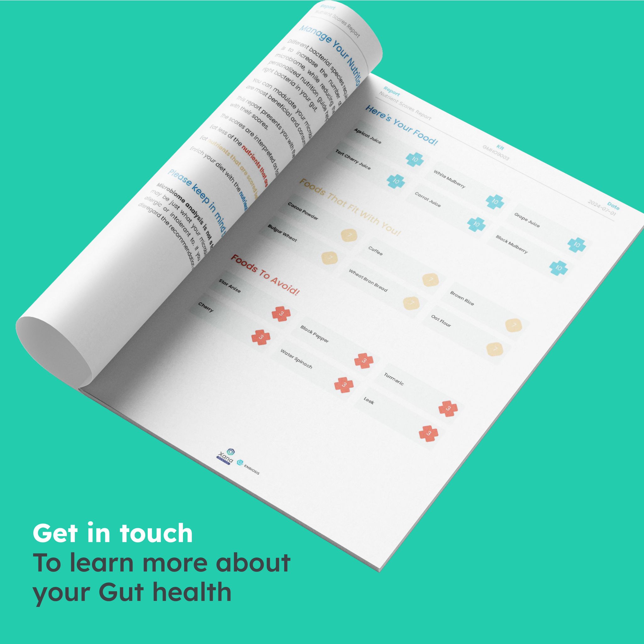 food intolerance test report